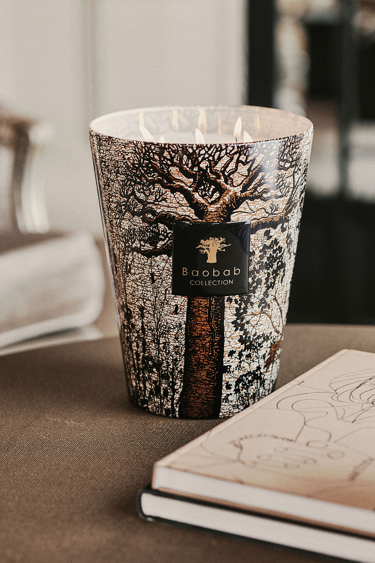baobab-collection-kaarsen-sacred-trees-morondo-002